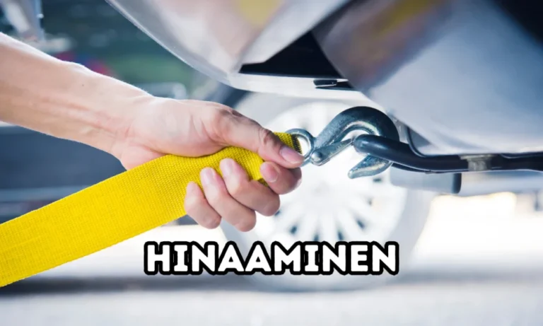 hinaaminen